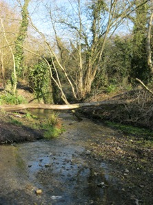 The dry channel in Waterside, Chesham